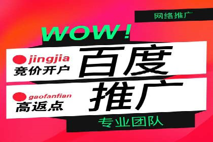 探索百度竞价代理的未来发展趋势与挑战